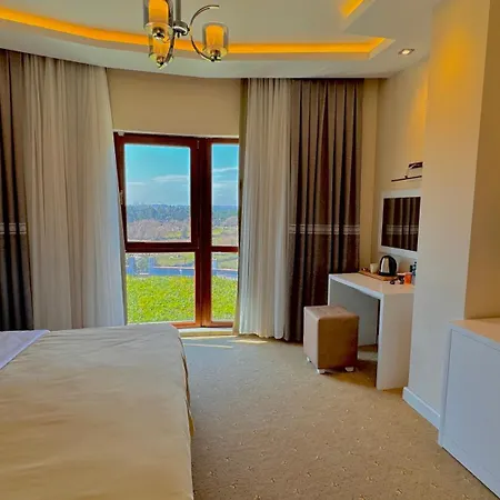 Roof & Hotel 5*