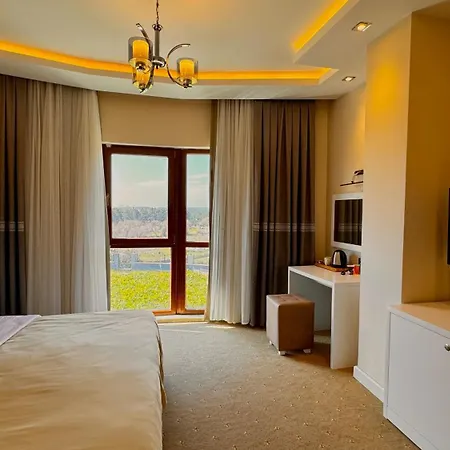 Hotel Roof & 5*