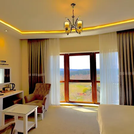 Roof Boutique & Istanbul Airport Hotel 5*