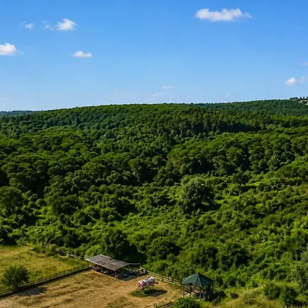 Green Roof Hotel Terkos